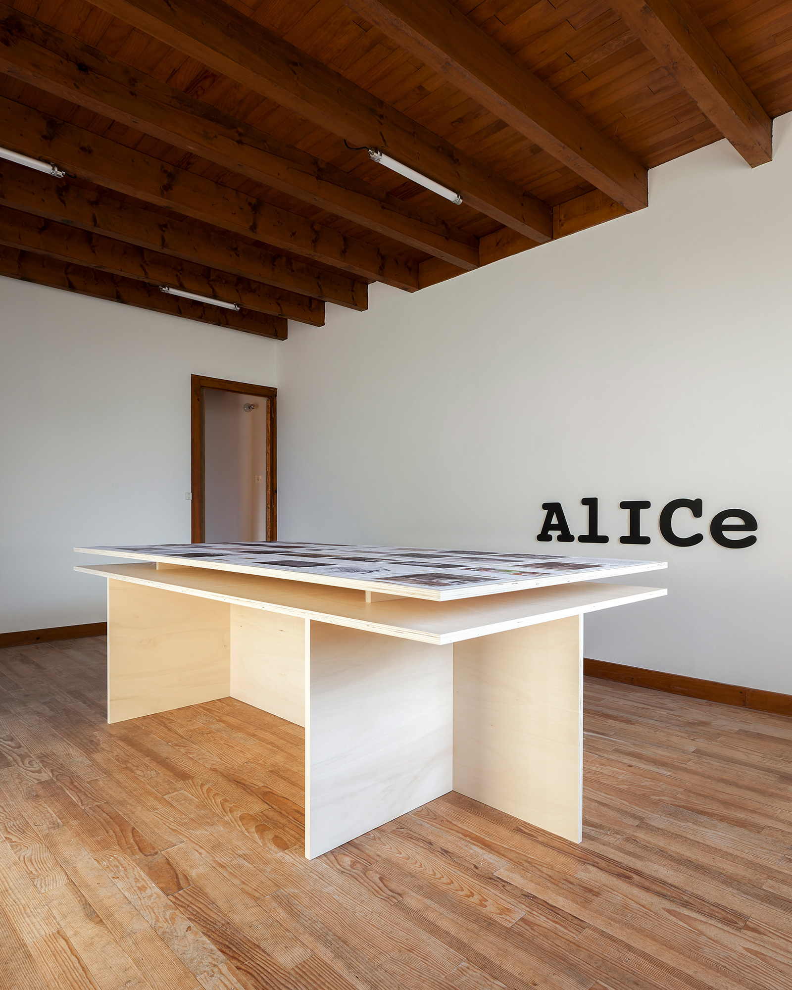 ALICE_01