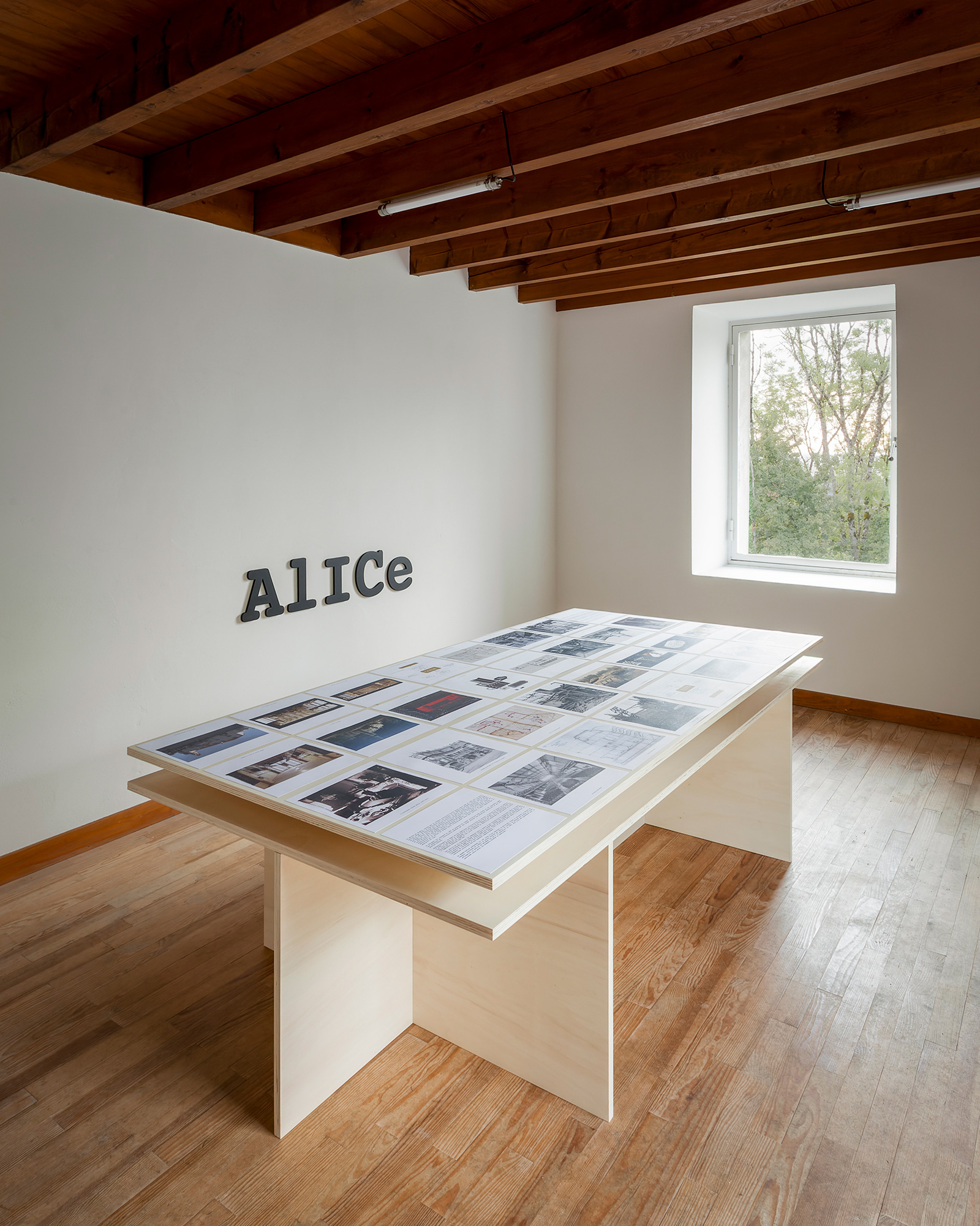 ALICE_03