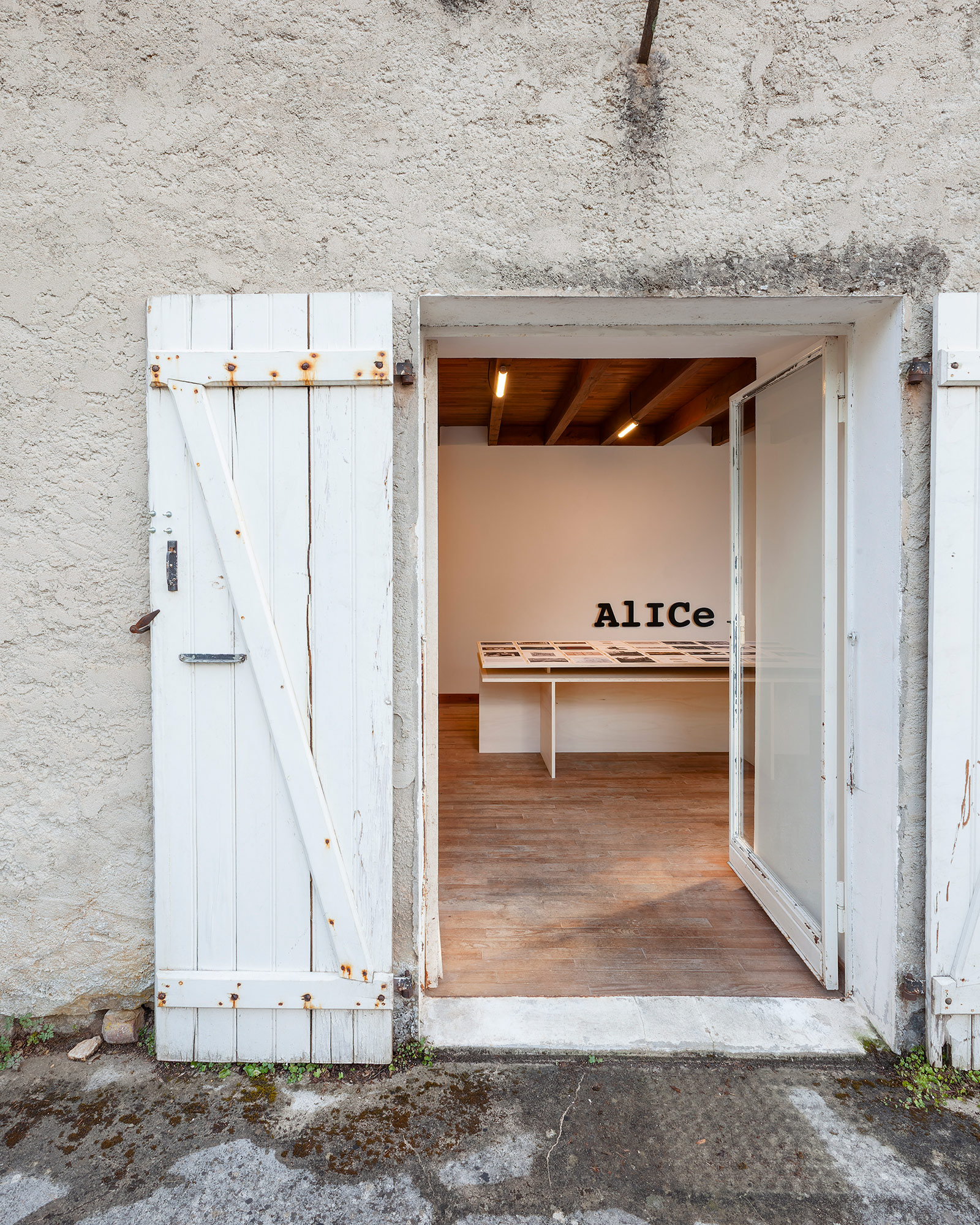 ALICE_05