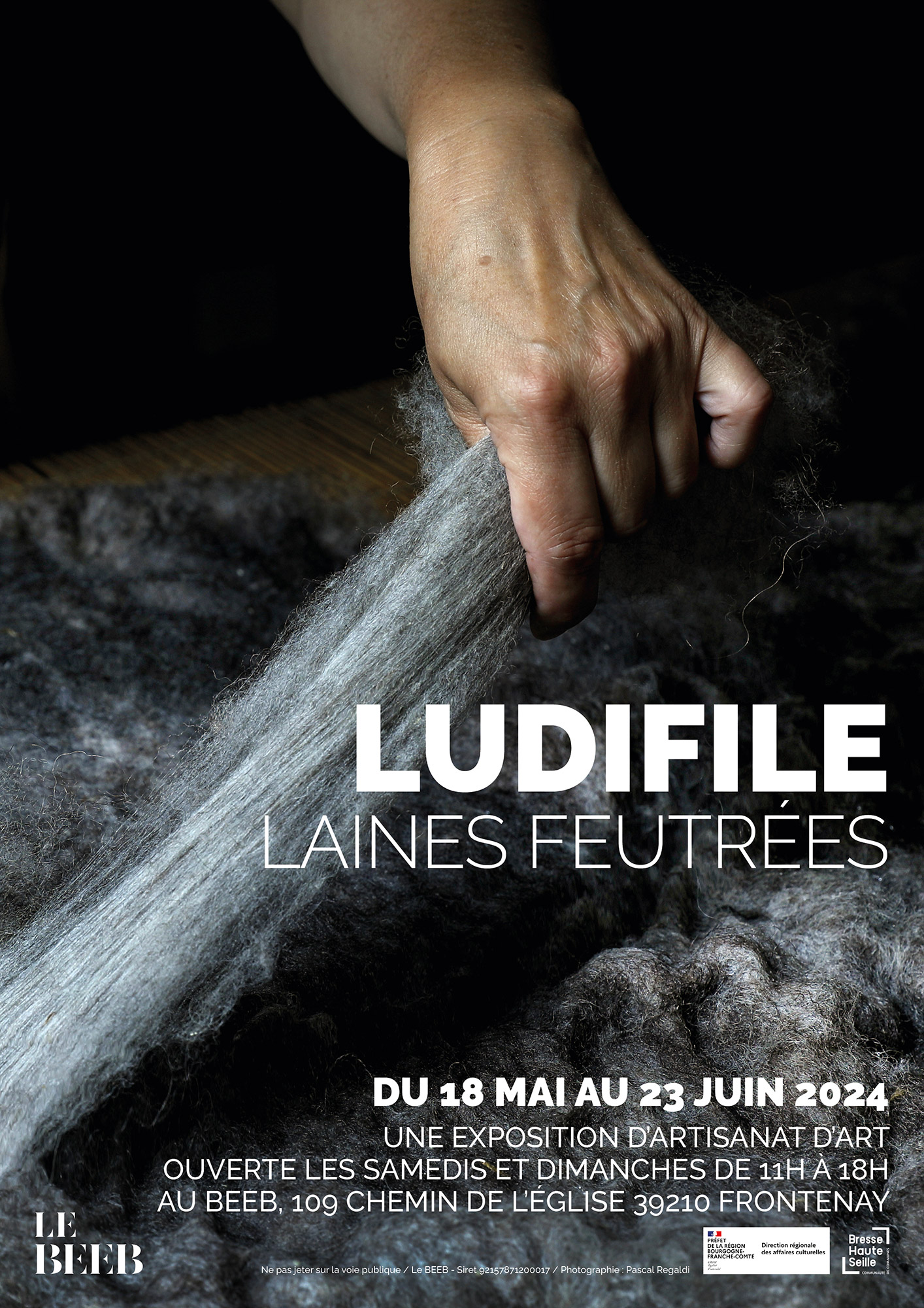 Affiche Ludifile