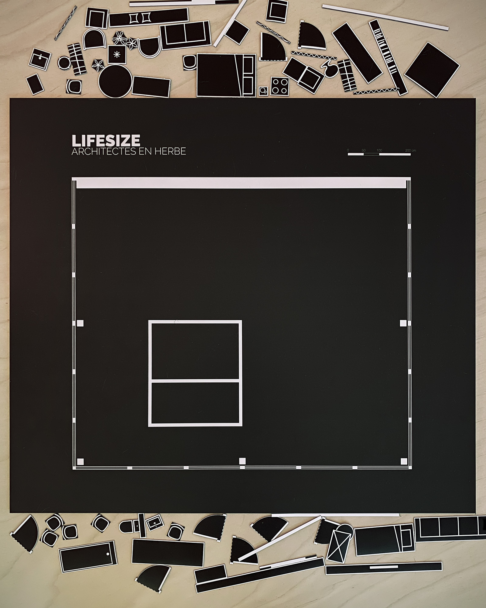 Lifesize 04