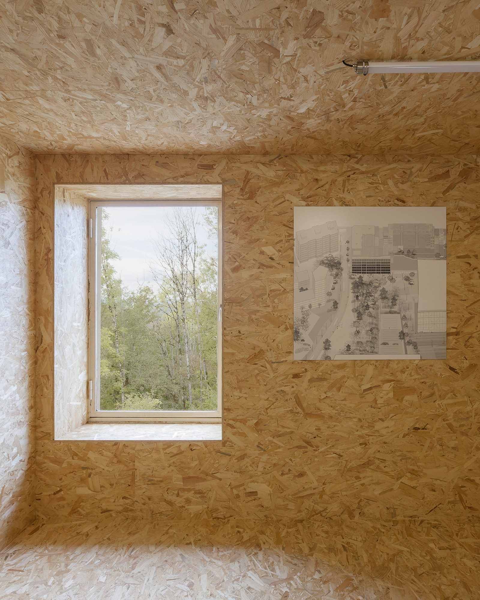 Muoto Label_10